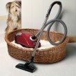 miele-vacuum-cleaner-is-small