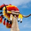 native-american-headdress