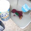 oxi-clean-safe-bleach-by-tom-arthur.jpg