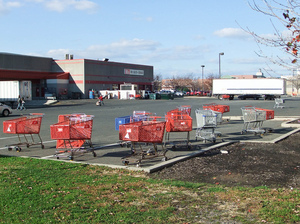 bjs-wholesale-club-shopping-carts-by-dandeluca.jpg