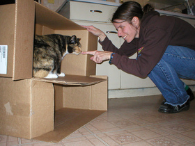 cat-in-new-apartment-by-thomasbrandt.jpg