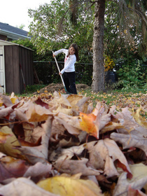 child-raking-leaves-by-mike-babcock.jpg