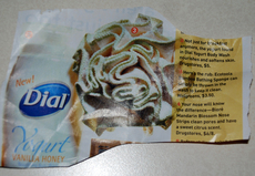 dial-yogurt-body-wash-and-sponge.jpg