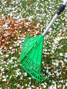 folding-rake-by-Tim-in-Sydney.jpg