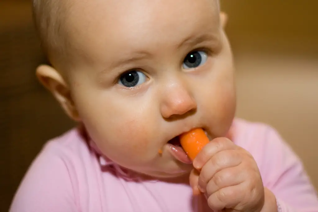 eat a carrot