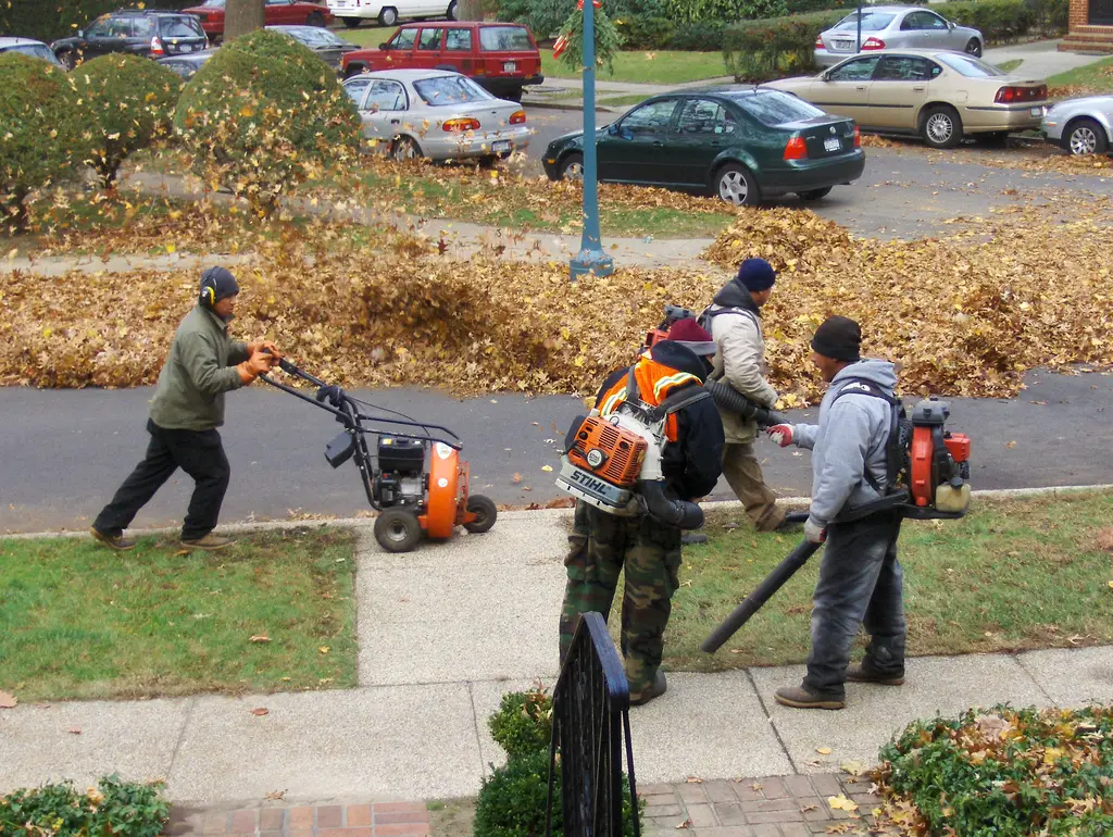 landscapers on Landscapers Using Leaf Blowers To Move Leaves  Photo By Joe Shlabotnik