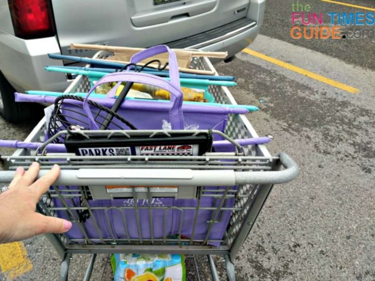 After my grocery shopping trip using the Lotus Trolley Bags.