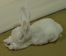 bunny-rabbit-towel-folding.jpg