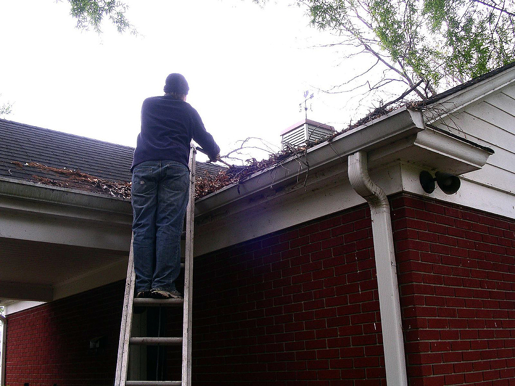 Gutter Cleaning in Goose Creek SC