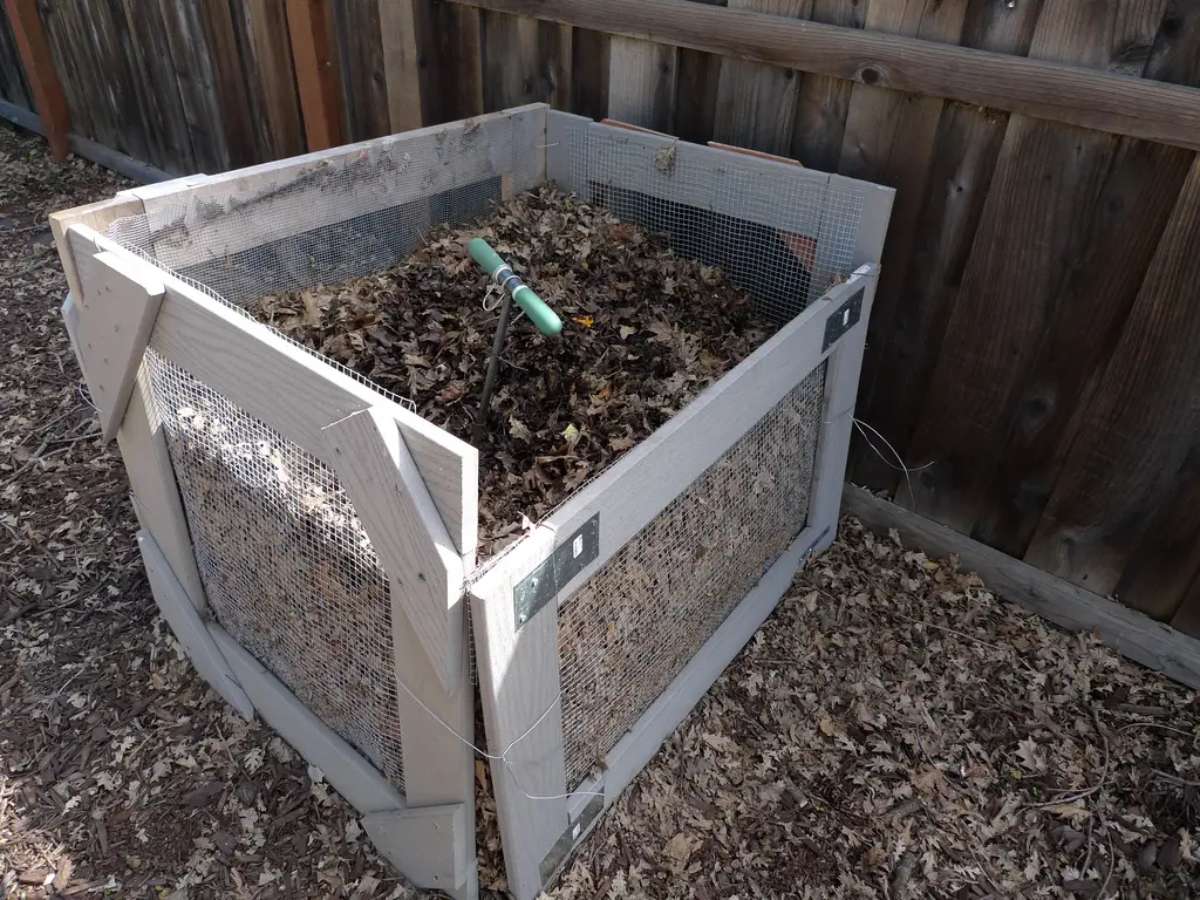 Composting leaves. 