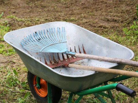 13 Unique Rakes With A Purpose – From Leaf Rakes To Garden Rakes And Everything In Between