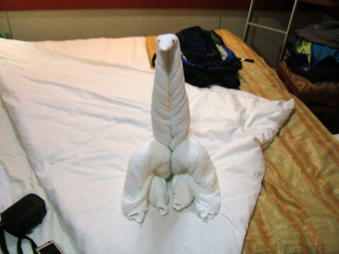 dinosaur-towel-folding