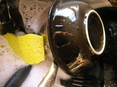 dishwashing-kitchen-sponge