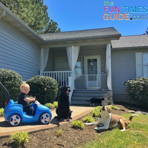 See how I turned our small front porch into a fun outdoor space for baby, 2 dogs, and 1 cat. 