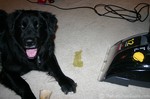 The Bissell Pro-Heat carpet cleaner works wonders on pet stains like dog vomit.