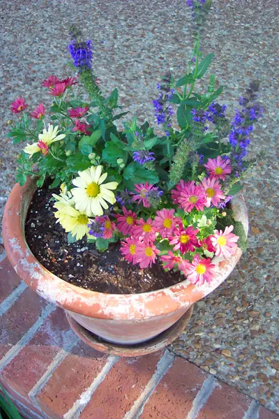 One of two flower pots filled with pastel-colored flowers, placed on either side of our front step / front porch.