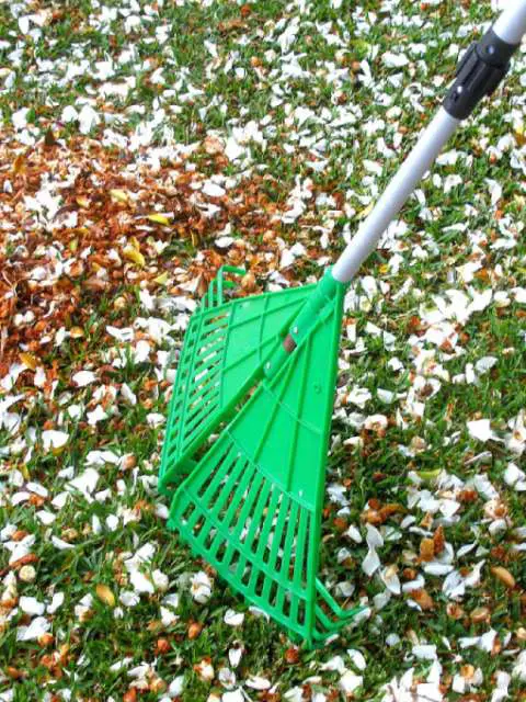 There are SO many different types of yard rakes these days! For example, this folding rake makes picking up leaves easier, since it grabs the leaves from the sides of the rake. 