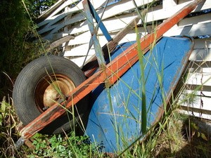 garden-wheelbarrow-by-stebulus.jpg