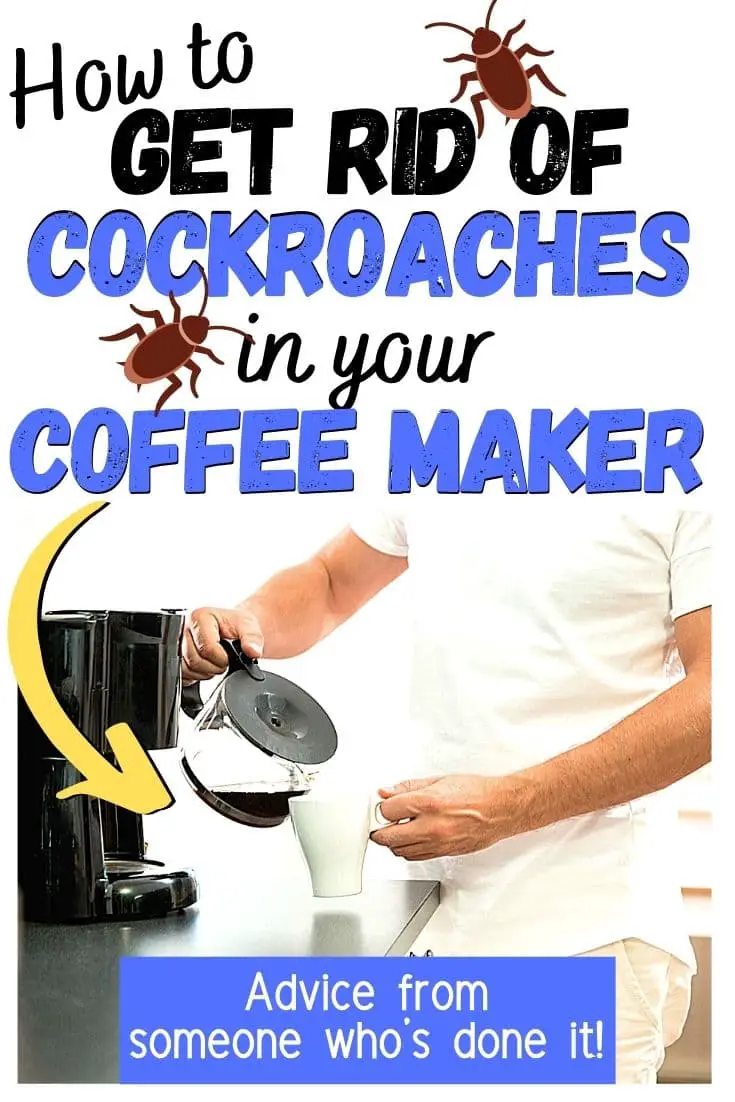 Get Rid Of Cockroaches In Coffee Maker 