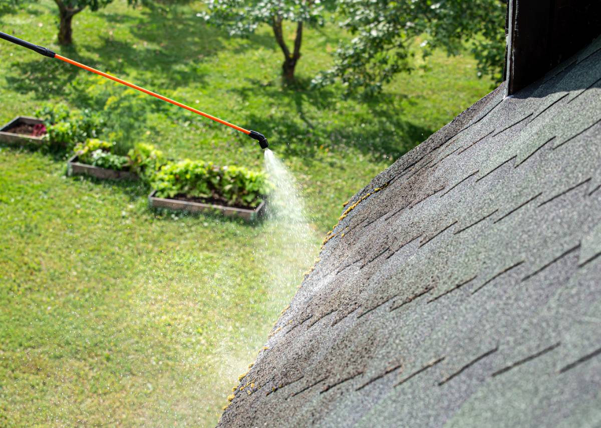 Green moss on your roof is a form of algae (or mold). Here's how you can remove it yourself.