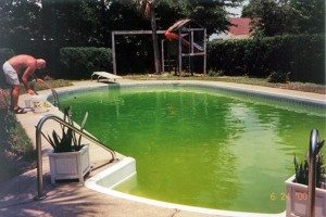 green_pool