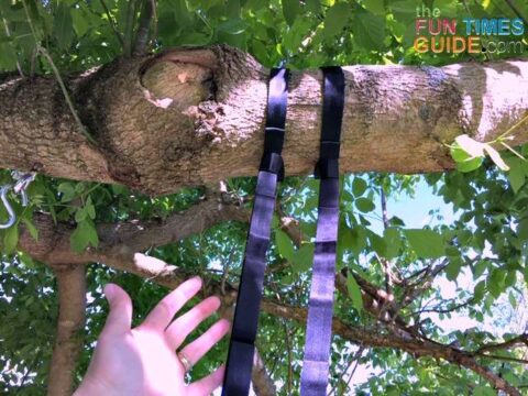 I looped 2 hammock straps to the tree branch and secured the excess slack out of the way. photo by Candida at TheFunTimesGuide.com