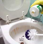 how-to-clean-a-toilet.jpg