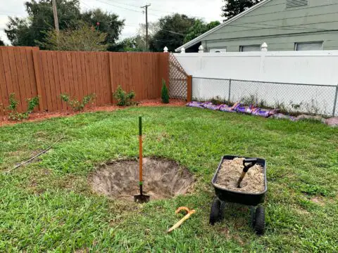 The hole I dug to plant my new tree