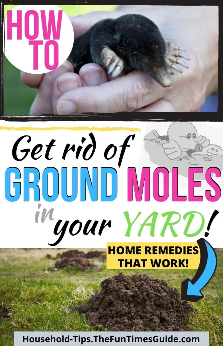How To Get Rid Of Ground Moles In The Garden Home Remedies For Moles
