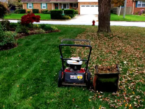 Tips for mowing your leaves. 