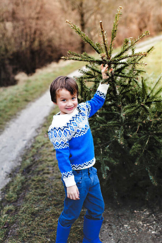 How To Get Rid Of Christmas Tree Mold On Christmas Trees & Wreaths To