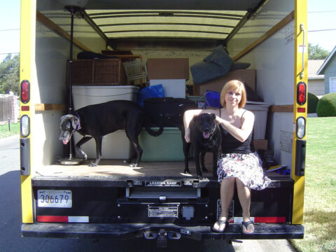 moving-van-with-dogs-by-dr-frenchie.jpg
