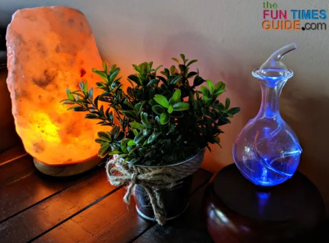 I LOVE the look of a glass essential oil nebulizer! I keep this one in my living room. 