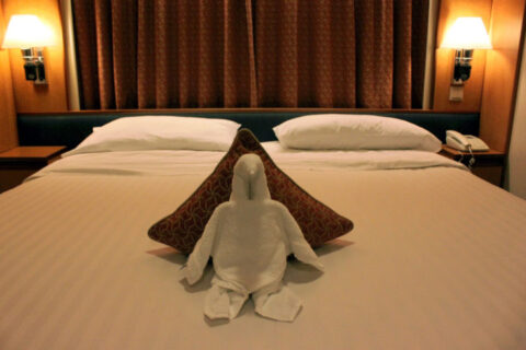 penguin-towel-folding
