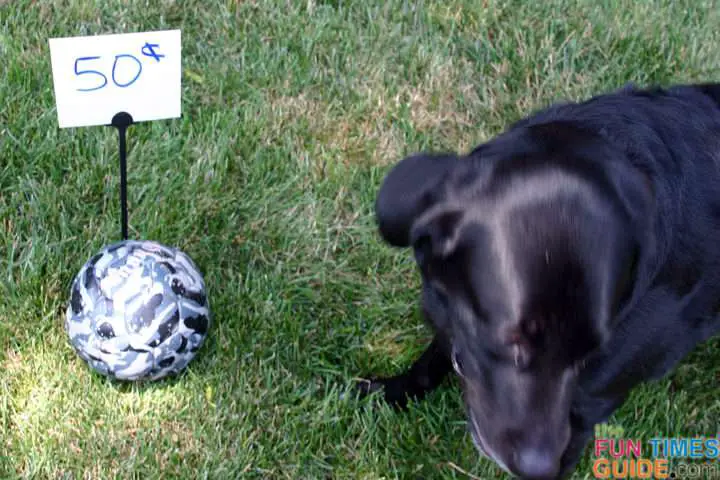 If you happen to use a pest control service that leaves a small sign in your yard that says this lawn has recently been treated (like we do), re-use those small plastic lawn signs to make ground-level signs!