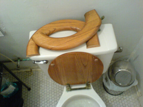 This broken toilet seat needs replaced.
