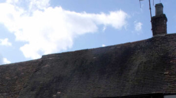 Roof algae (or roof mold) on the north side of a house in a humid part of the country. photo by ell brown on Flickr