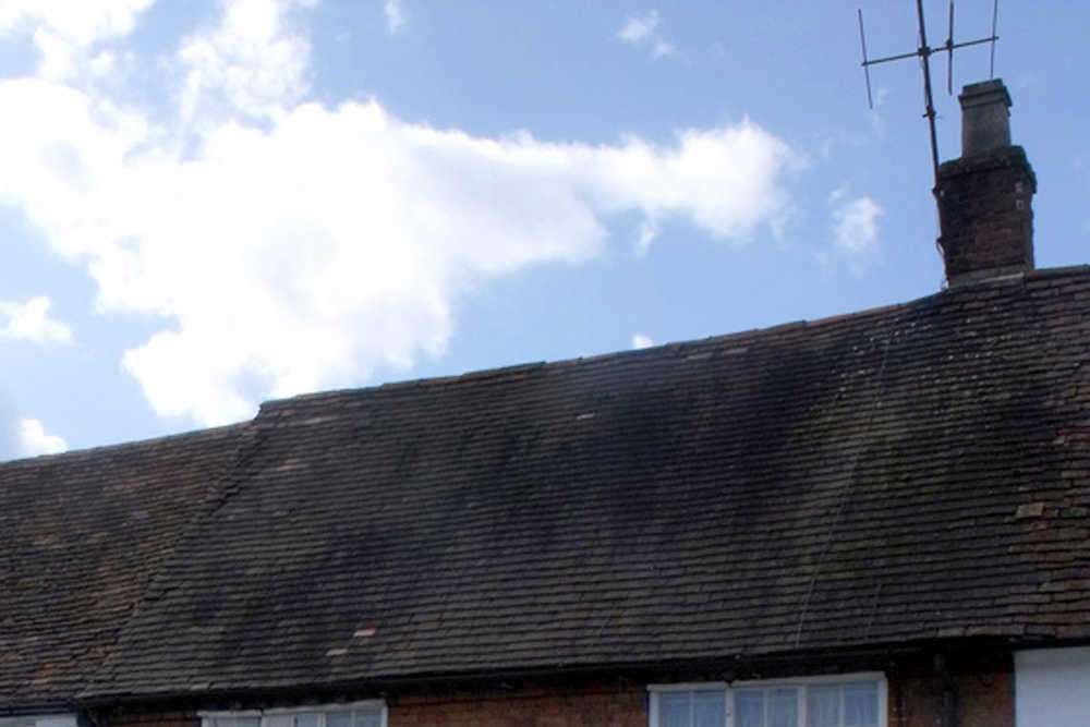 Roof algae (or roof mold) on the north side of a house in a humid part of the country. Roof algae (or roof mold) on the north side of a house in a humid part of the country. photo by ell brown on Flickr