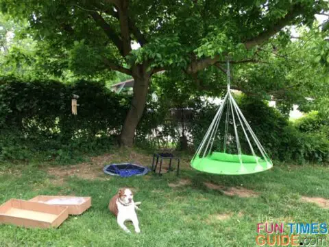 We are really happy with our purchase of the Sorbus hammock swing.