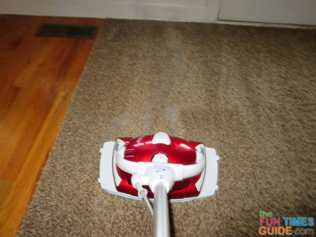 https://household-tips.thefuntimesguide.com/files/steam-cleaning-rugs-with-monster-steam-mop.jpg