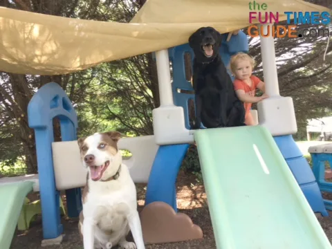 Even our dogs enjoy playing on the Little Tikes outdoor climber with my son!