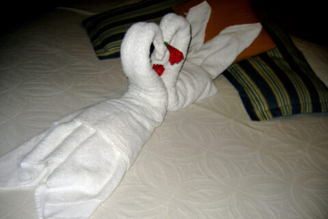 swan-towel-folding