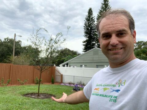 tree-planting-tips new tree planting tips and tricks