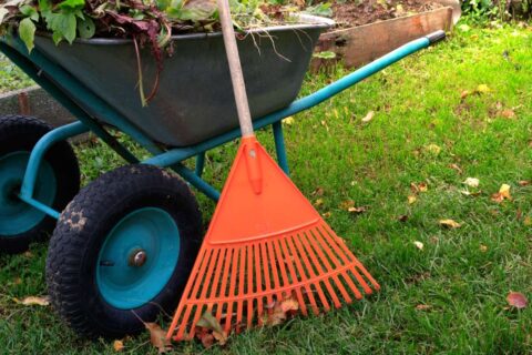13 Unique Rakes With A Purpose – From Leaf Rakes To Garden Rakes And Everything In Between