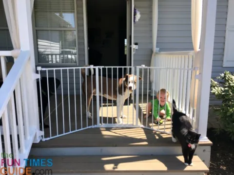 This walk-through baby gate is perfect for keeping kids and pets on the porch!