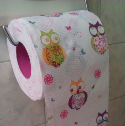 https://household-tips.thefuntimesguide.com/files/wise-owl-toilet-paper.jpg